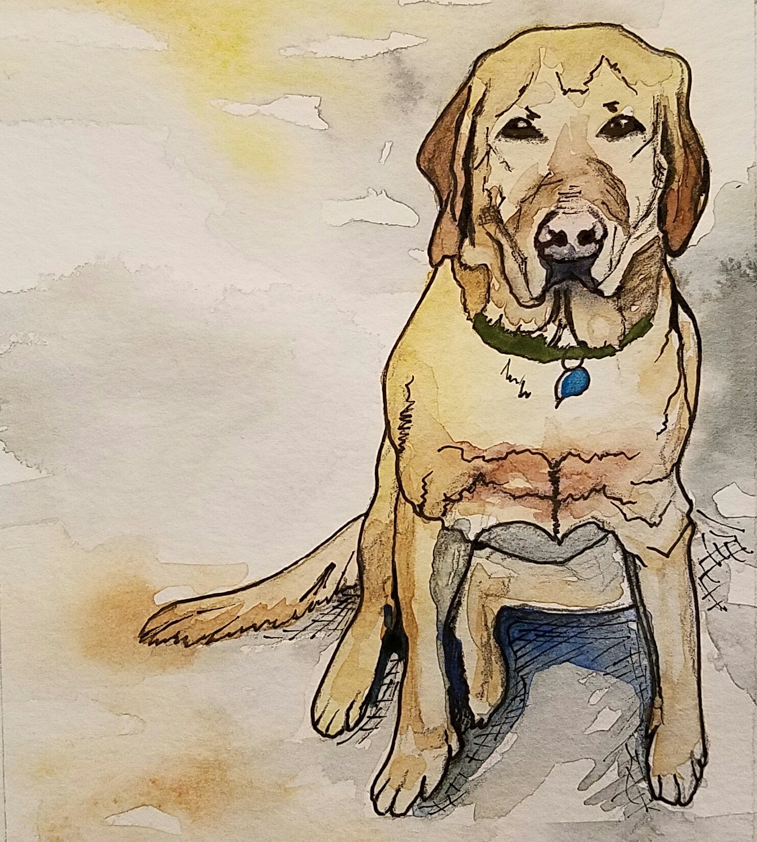 Dog Portrait