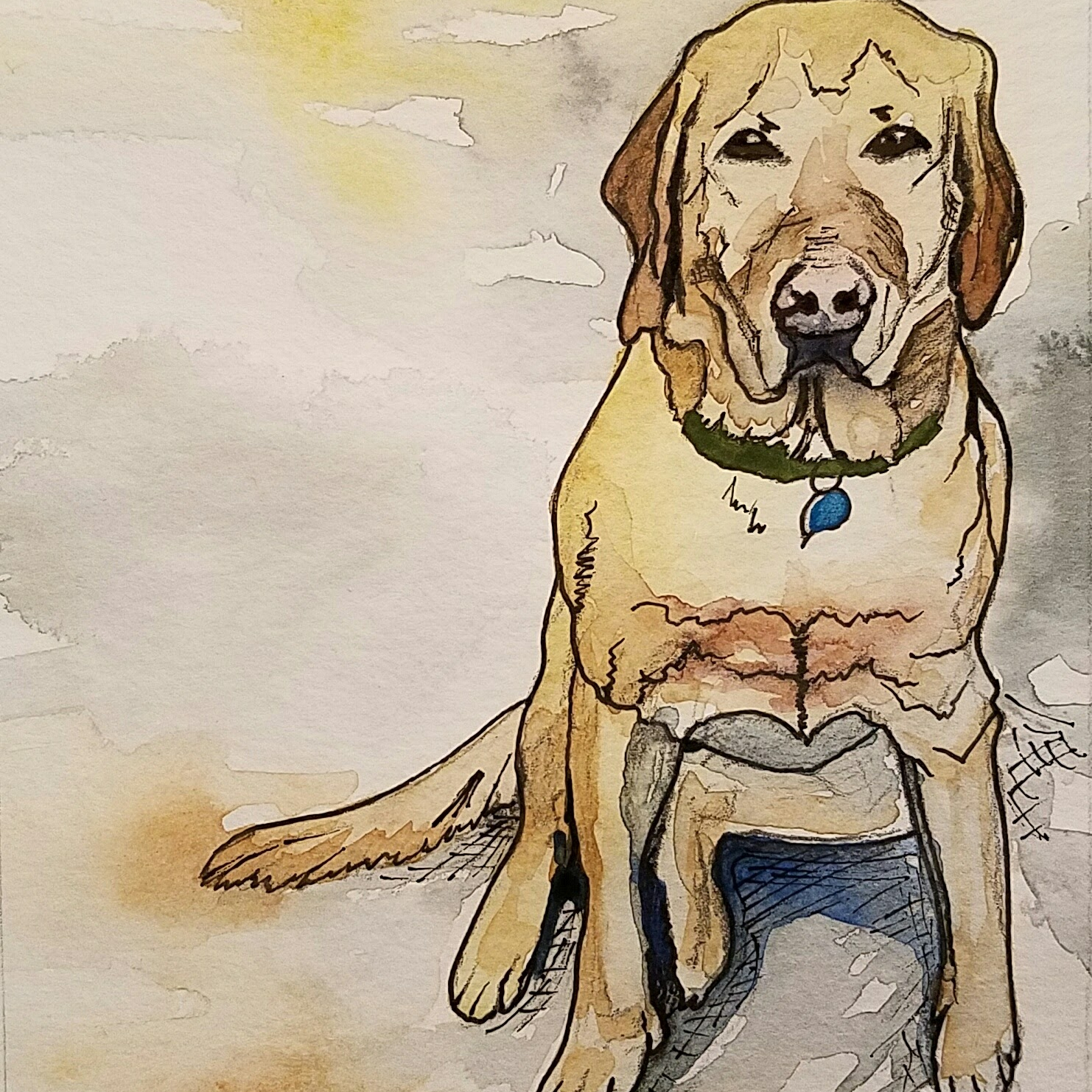 Dog Portrait - Square crop